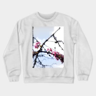 red Malus Radiant crab apple blossoms #7 Crewneck Sweatshirt